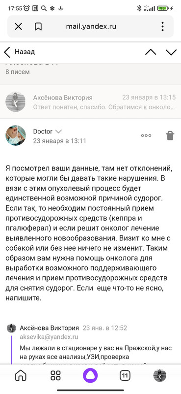 Screenshot_2024-01-28-17-55-17-965_ru.yandex.searchplugin