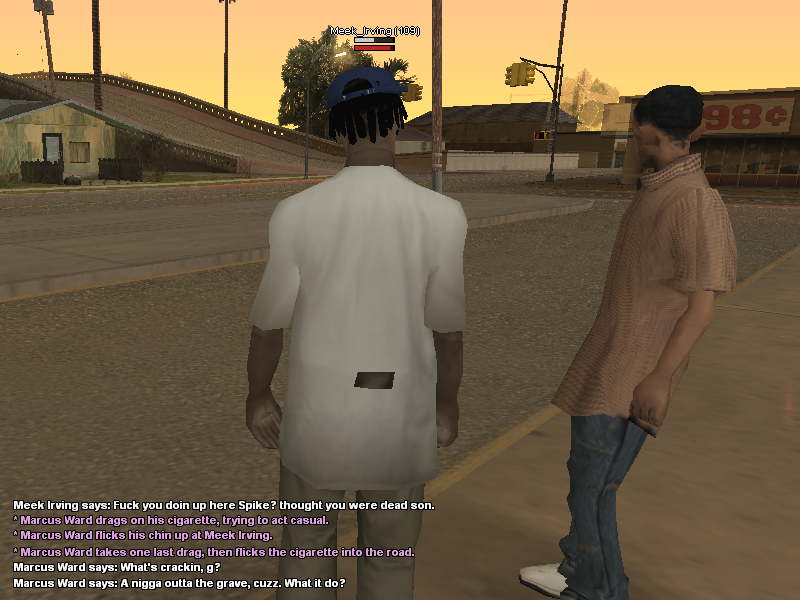 ss1.png