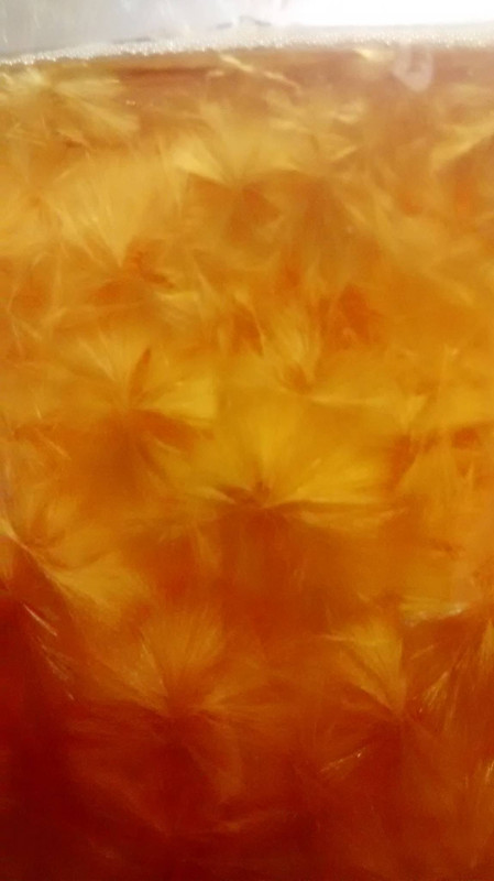 388763445-IMG_20170629_212249803