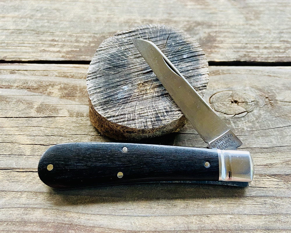 C1310419-81A8-4141-A72B-CACBEF43FC26_1_201_a