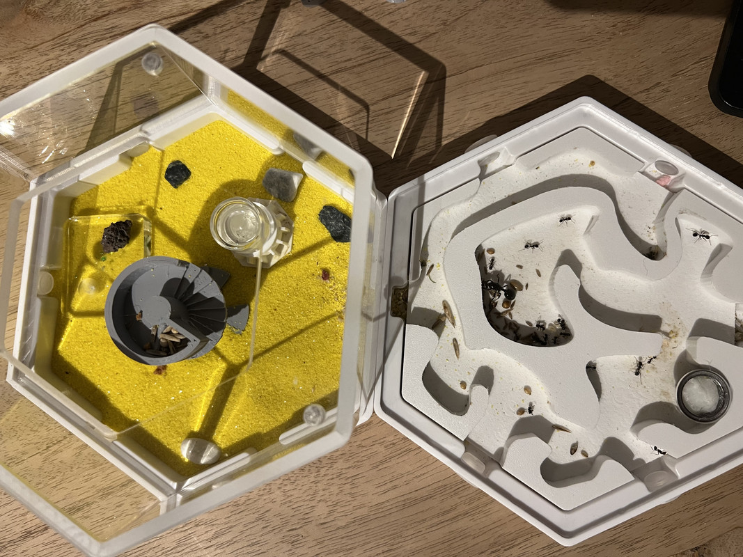 6007AD6B-48FF-4E73-B637-6B868629D9B5