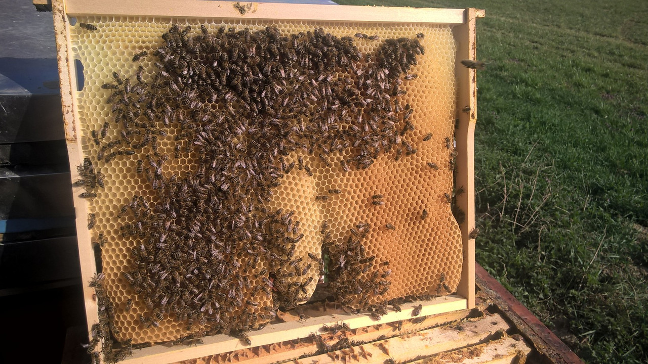 WP_20210401_16_15_48_Pro (1)