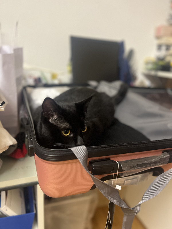 C4EAE7F6-80F3-414A-A551-5AA786B25994