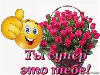 https://i.postimg.cc/qvRXTkch/8b35f6677600d64a6024b1bfd4b0d78f.jpg