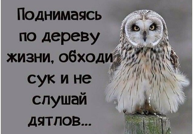 15 июня 2025 .....иррациональней....))))))))))))))))))