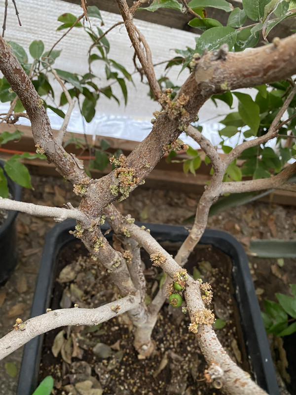 C3C38841-FDA2-4A61-ABA5-0F0F81B83FF5