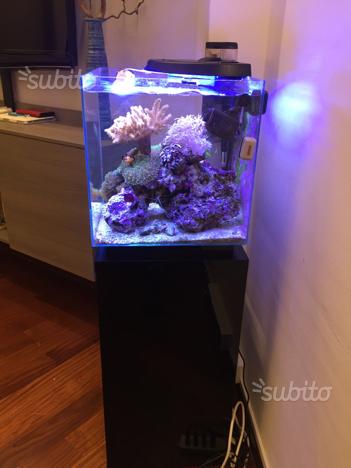 B5259F71-3990-4410-9748-B86B1965BB3A