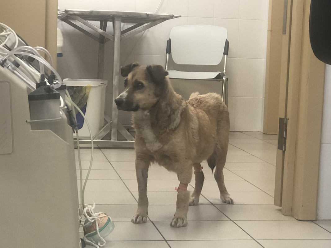 9A24FF27-BB03-4461-82AE-5BF3F7D53FC7