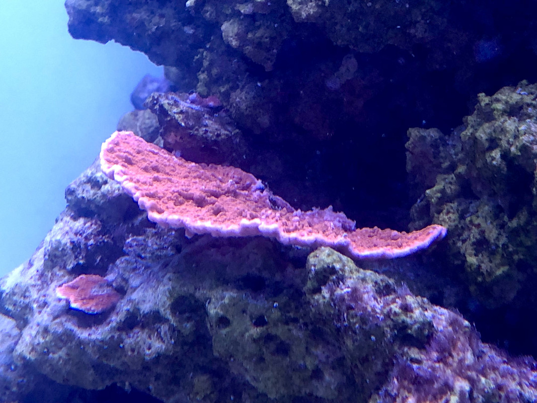 5FB49855-B87D-43FD-86D4-766CDCE9716E