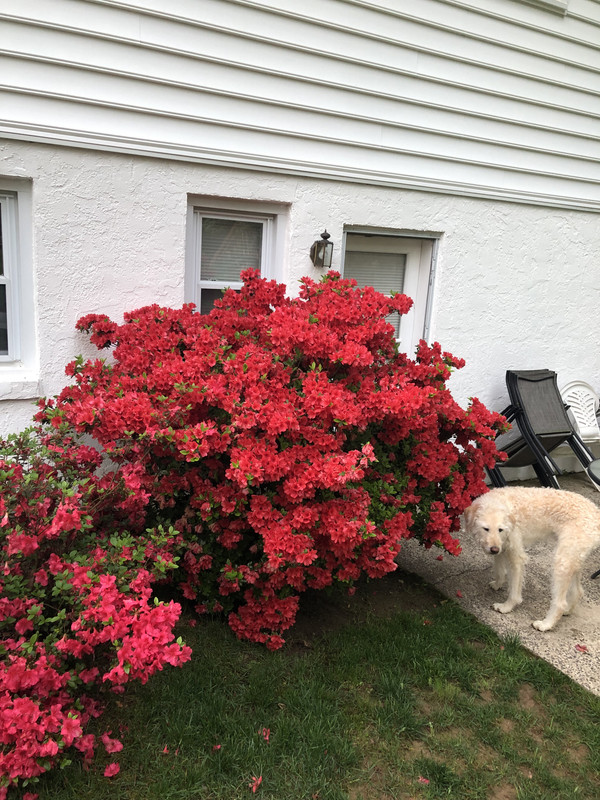 1431E770-B96C-47EB-8ED2-D05A4F8510C6