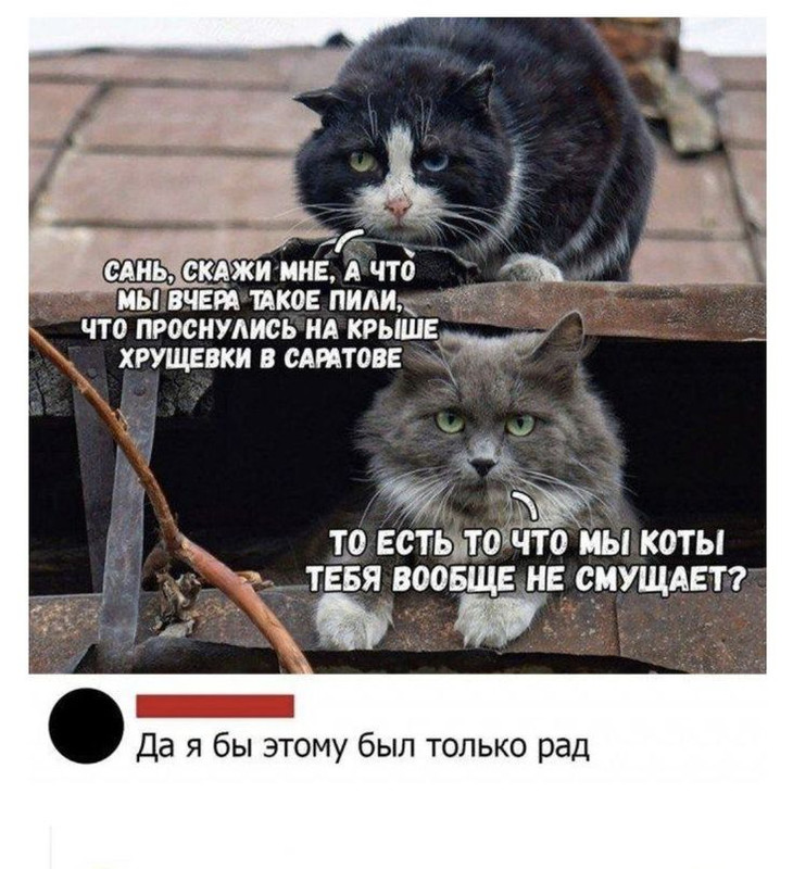 1f27e06e156937e27e3b16376a2873da.jpg