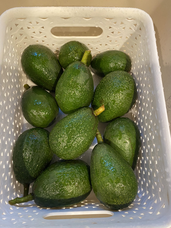 E9B5A0A3-1801-4F15-BB37-EC599C406166