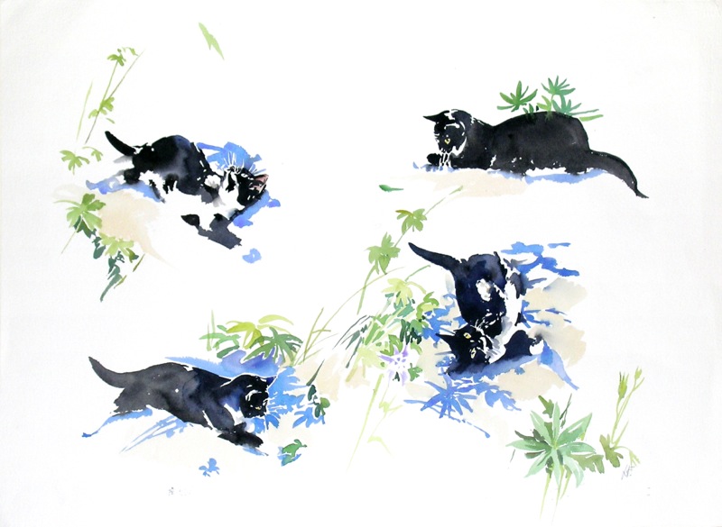 FOUR-STUDIES-OF-A-BLACK-CAT-1-C16555-1