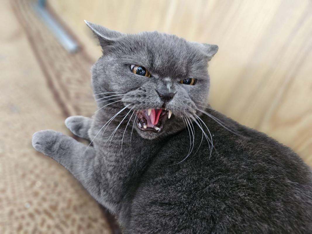 IMG_20230813_182323_900