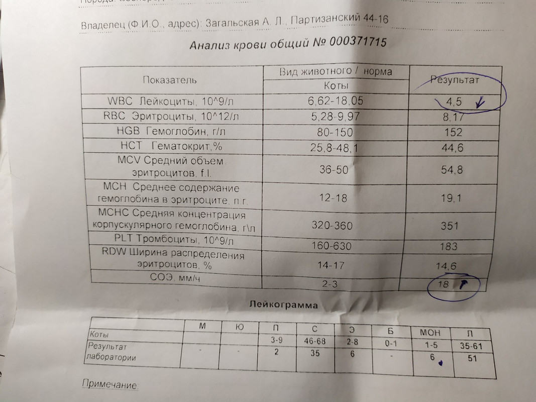 изображение_viber_2019-12-21_15-38-06