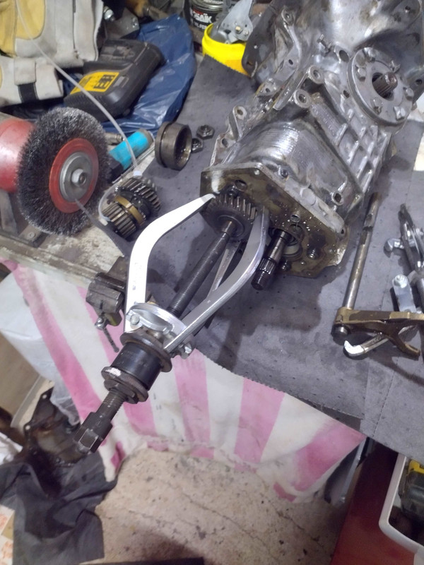 IMG_20250208_122604823