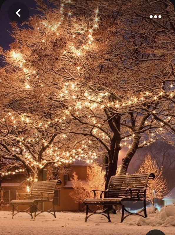 Screenshot_20231101_225336_Pinterest