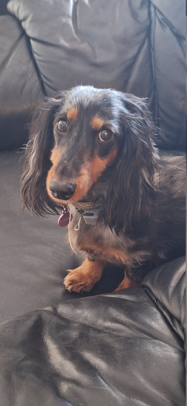 [Image: 20251126-132401.jpg]