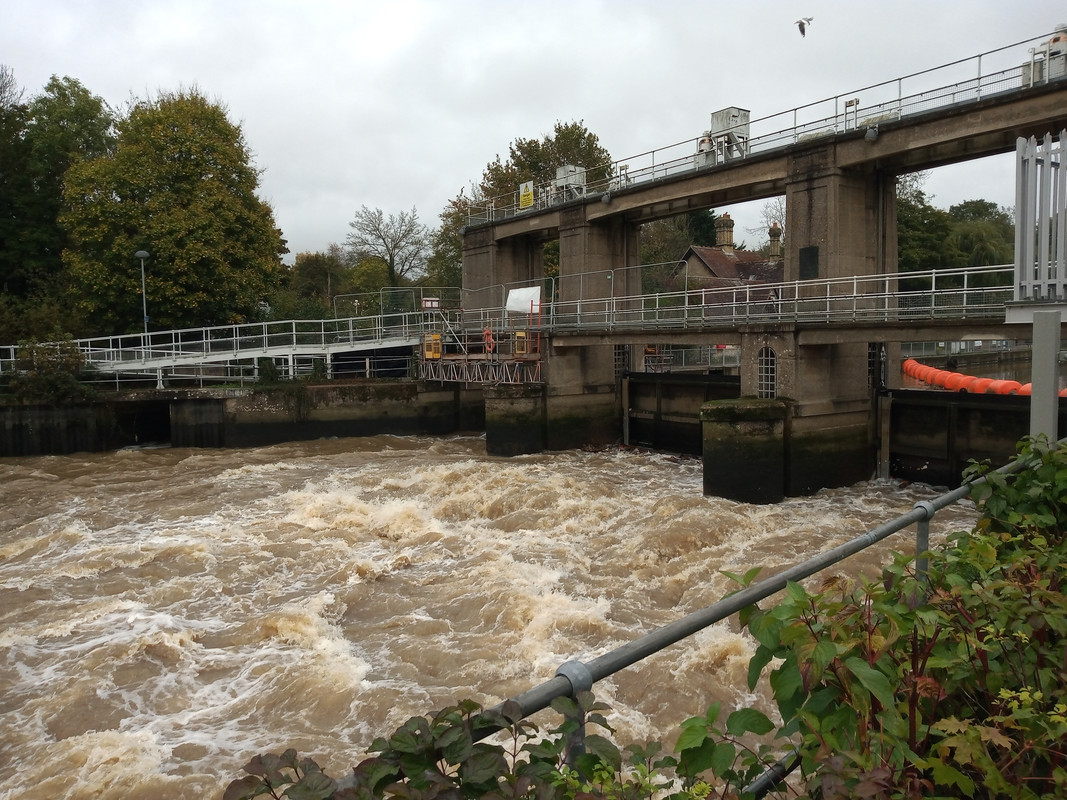 IMG_20221105_121613278