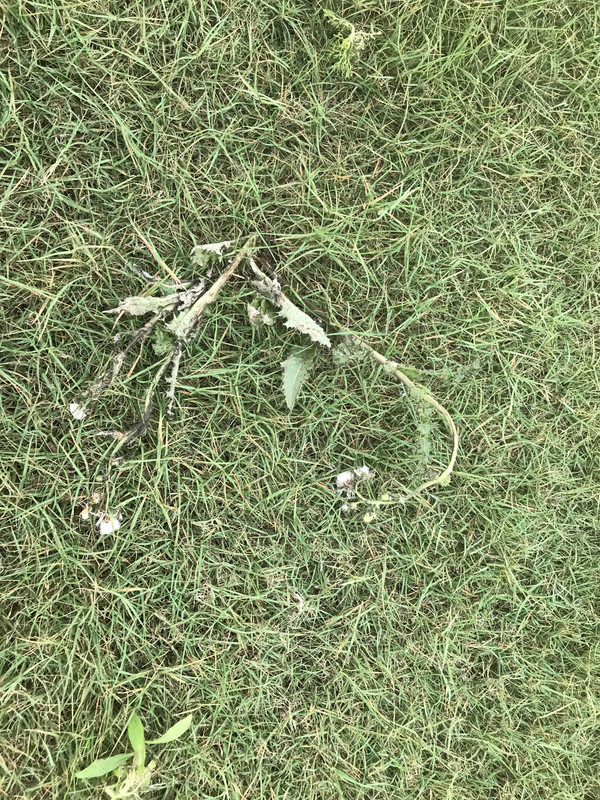 96B9DB78-0D33-44E7-B082-F817D22D00E1