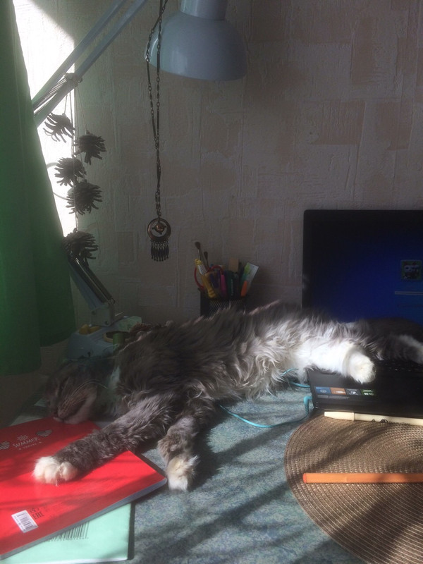 D5528862-E83E-4515-B5A1-298BDD559A7E