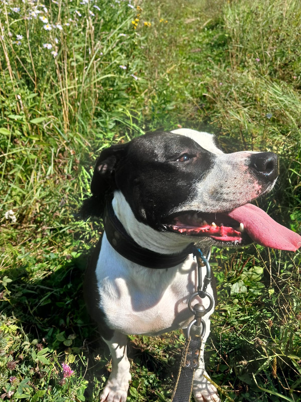 WhatsApp Image 2024-08-15 at 11.02.14 (3)