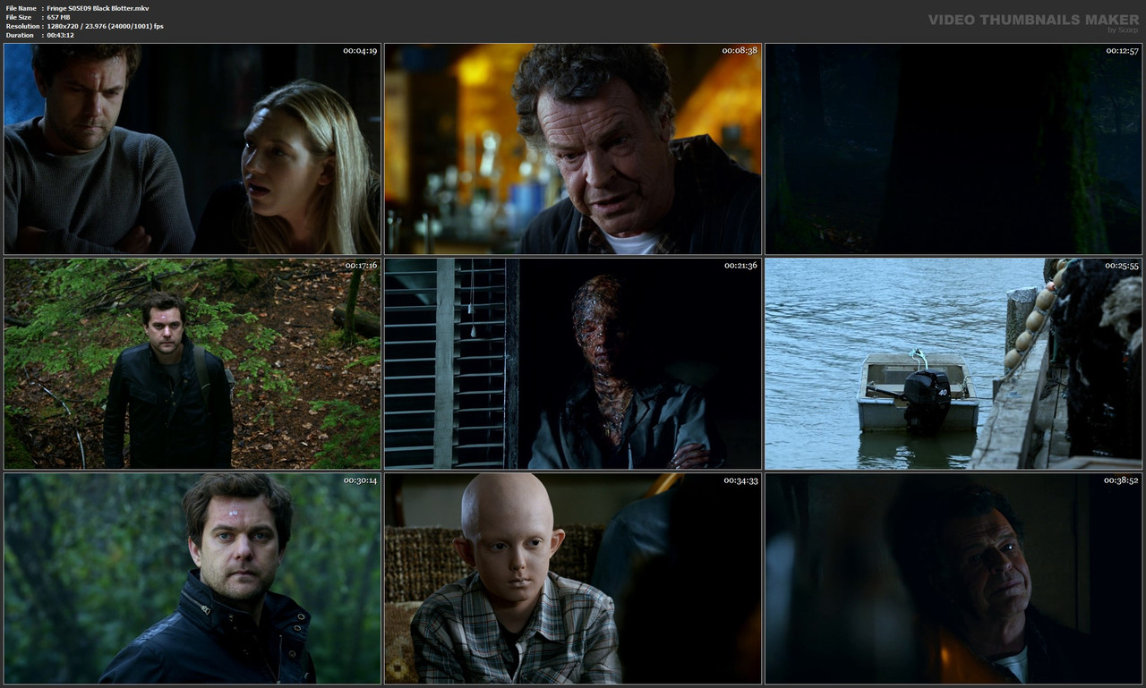 Fringe S05E09 Black Blotter.mkv