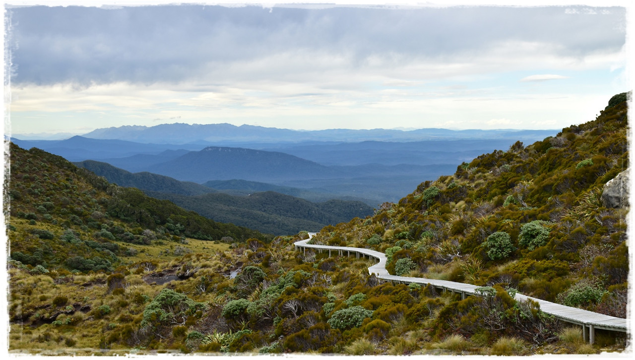 Escapadas y rutas por la Nueva Zelanda menos conocida - Blogs de Nueva Zelanda - Fiordland NP: Humpridge Track (febrero 2021) (23)