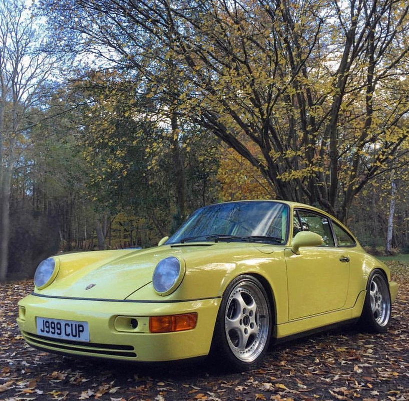 964-in-summer-yellow.jpg