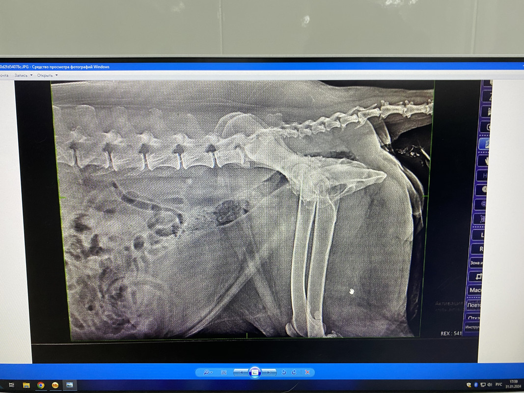 D0B29BE9-B555-4476-80D2-9D5C7E3A2A21