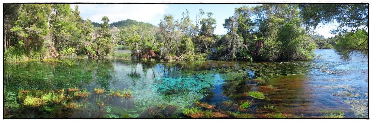 Escapadas y rutas por la Nueva Zelanda menos conocida - Blogs de Nueva Zelanda - Golden Bay (Navidad 2020, II) (19)