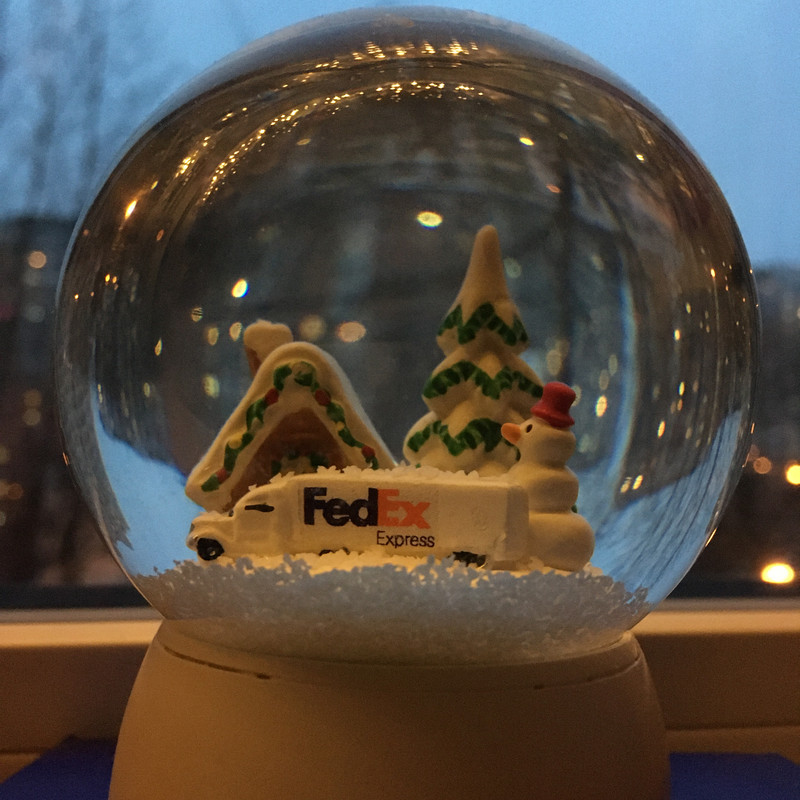 Разное Тимура Фрунзе, 20 Анина и посленовогоднее домашнее 037