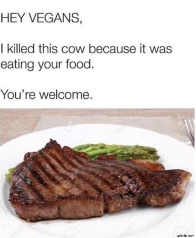 Your-Welcome4947.jpg