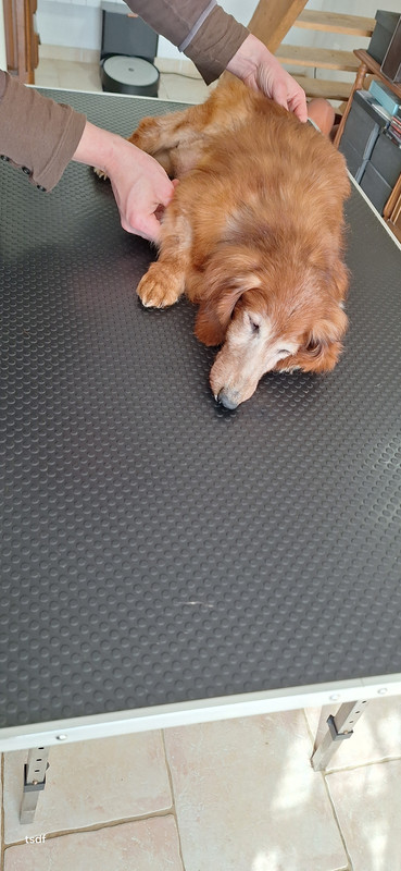 [Image: 20250307-150107.jpg]