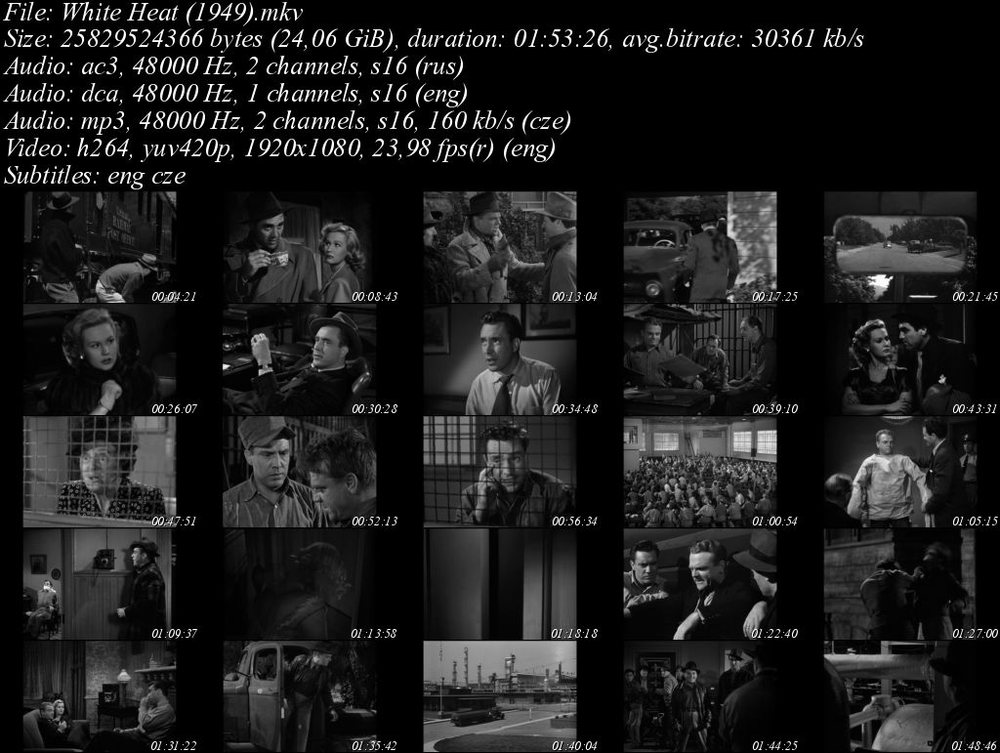 Bílý žár / White Heat (1949)