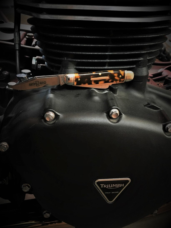 thumbnail_IMG_2795 (3)