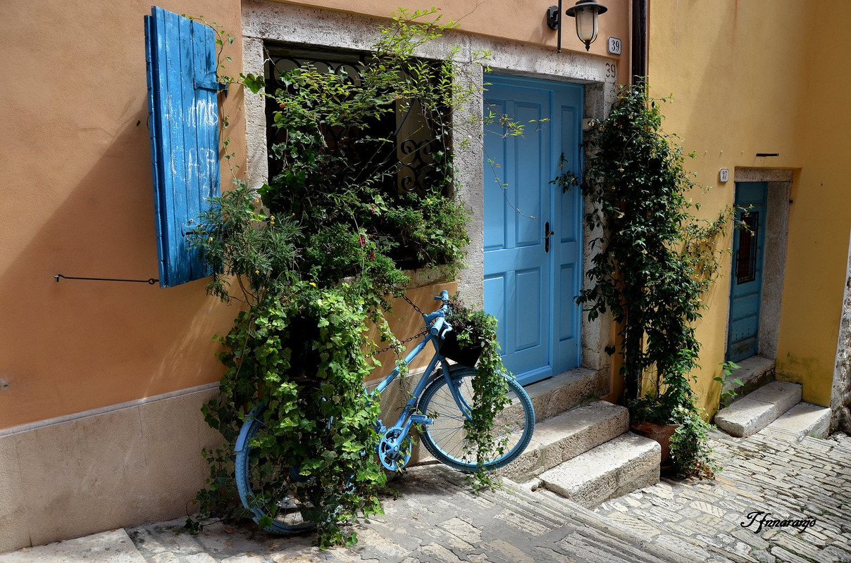 blue-door-bike.jpg