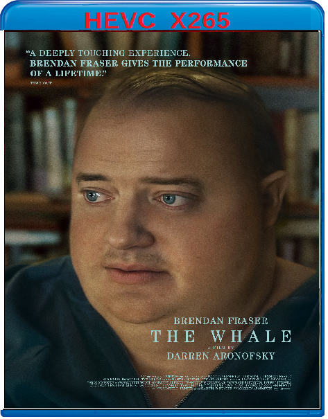 The Whale (2022) mkv FullHD 1080p HEVC AC3 ITA ENG Sub