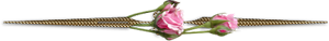 Vz9EWEayjXsdUUa41bAnpvGJbks