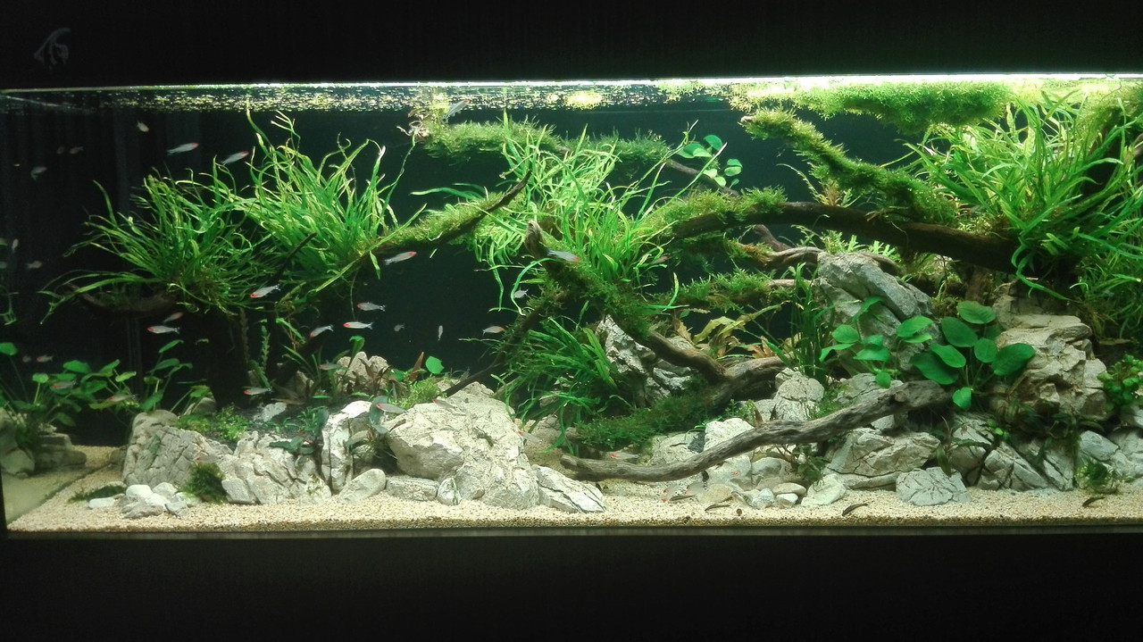 IMG_20190522_185856 (1)