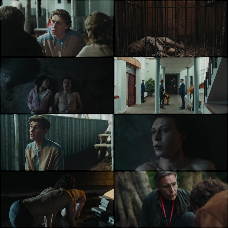 Wolf (2021) Dual Audio [Hindi + English] Full Movie BluRay ESub screenshot