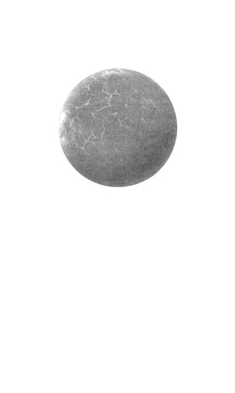 p0006