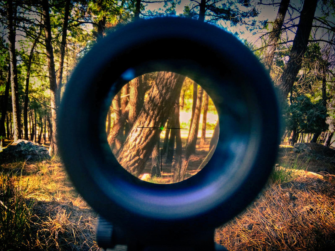 Fotos "Donbass II" 2019 Y