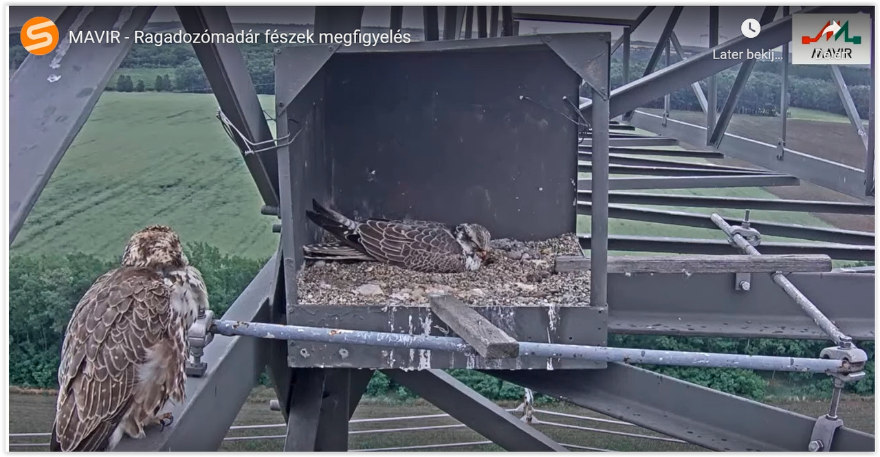 Screen Shot 05-29-22 at 03.35 PM