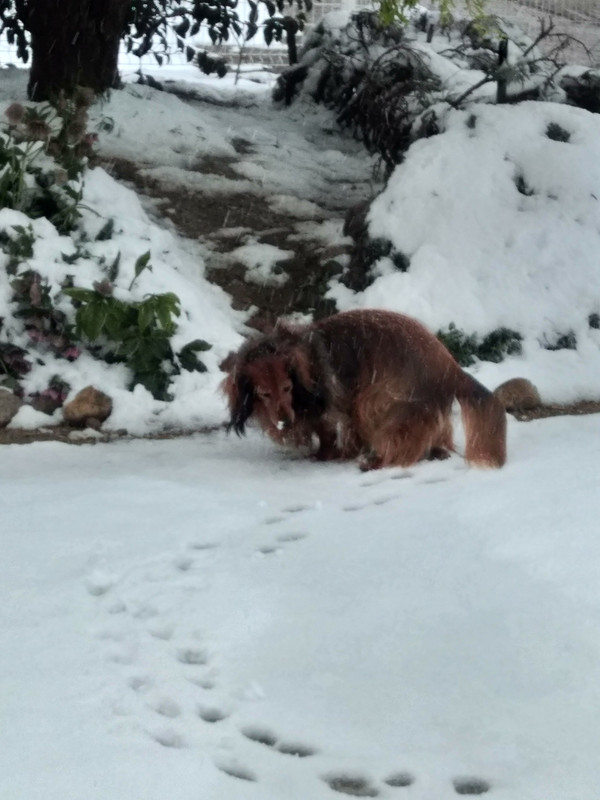 [Image: IMG-20220402-184443.jpg]