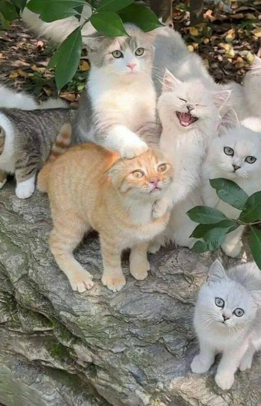 picdump-kw16-2025-122.jpg