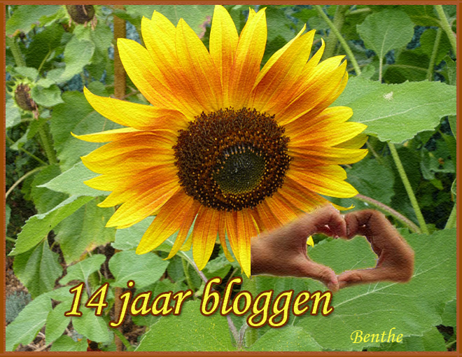 14-jaar-bloggen