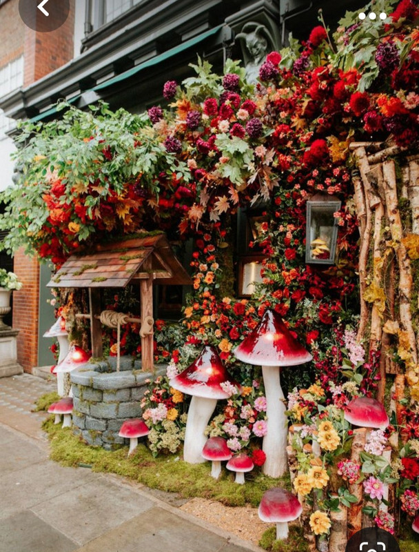 Screenshot_20231005_213640_Pinterest