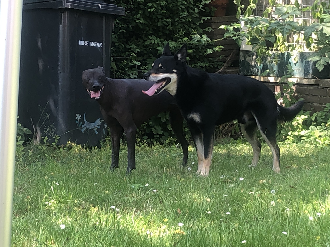 4924C223-D1F7-4940-B67B-544FC8B0EE01