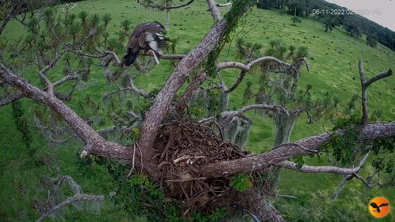 EC 4K Overhead Cam 13-45-45 screenshot